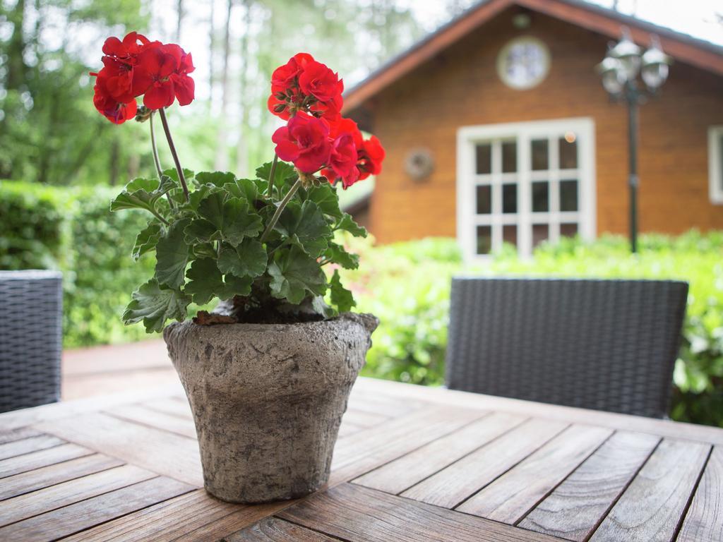 فيلا Luxurious Chalet In Oud Turnhout With Large Garden آويد ترنهاوت المظهر الخارجي الصورة